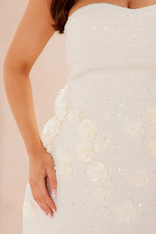 Adabelle Floral Applique Mini Dress