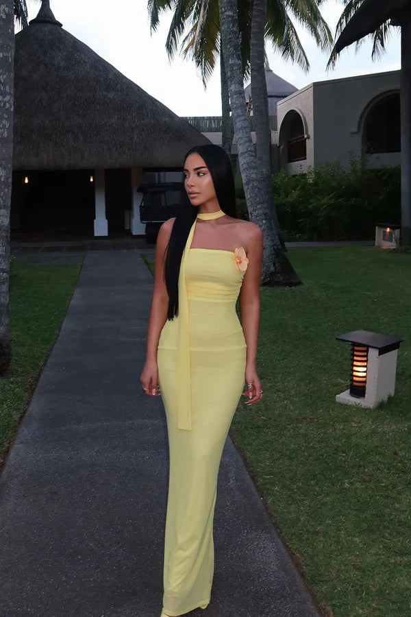 Rosa Mesh Strapless Maxi Dress
