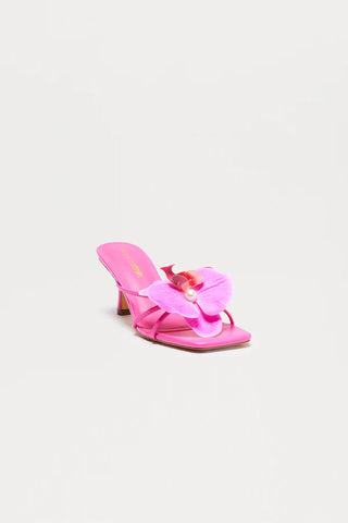 Island Sun Orchid Mules