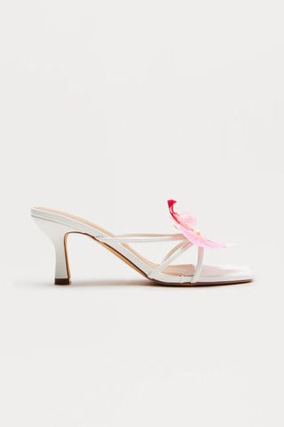 Island Sun Orchid Mules