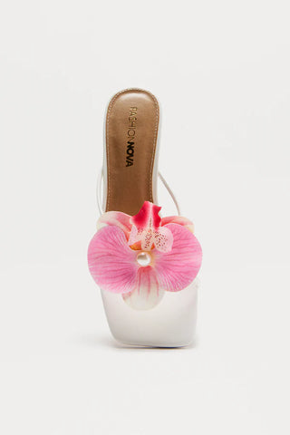Island Sun Orchid Mules