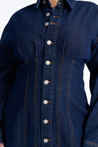 Alessandra Denim Mini Dress