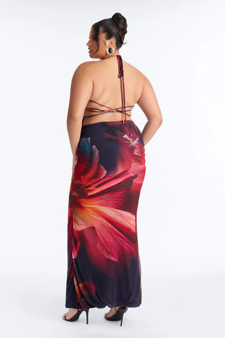 Willa Floral Mesh Maxi Dress