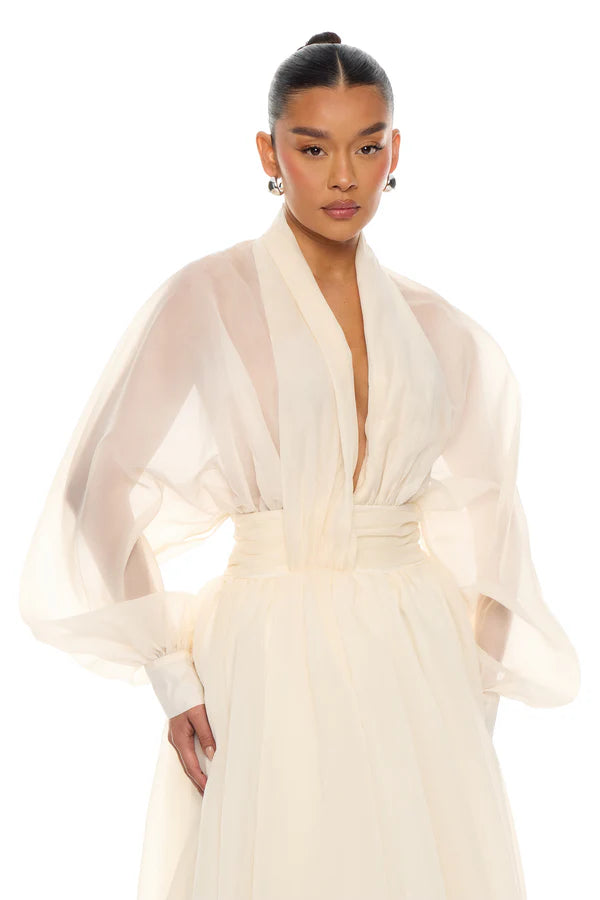 Muse Energy Taffeta Maxi Dress