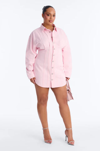 Alessandra Denim Mini Dress