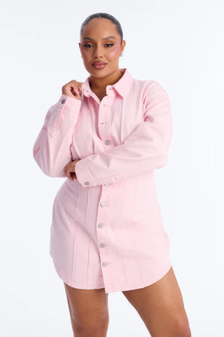 Alessandra Denim Mini Dress