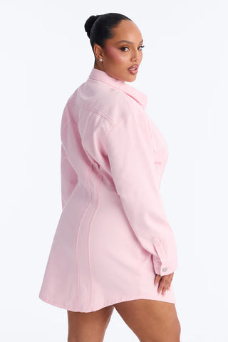 Alessandra Denim Mini Dress