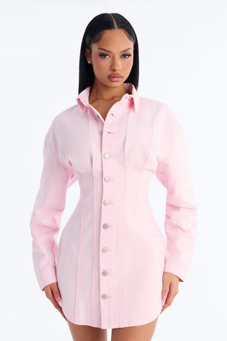 Alessandra Denim Mini Dress