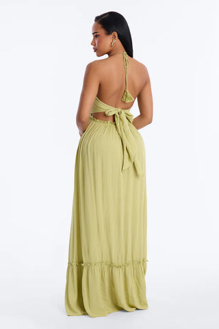 Pretty In Paradise Backless Maxi Dress