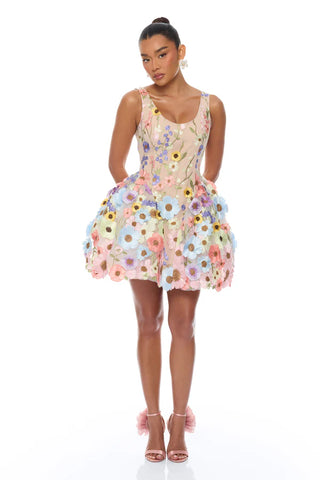 Wildflower Way Embroidered Mesh Mini Dress