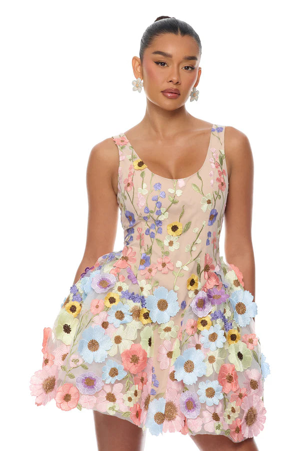 Wildflower Way Embroidered Mesh Mini Dress
