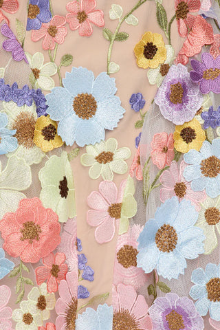 Wildflower Way Embroidered Mesh Mini Dress