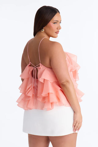 Ruffle Cutie Hardware Organza Halter Top