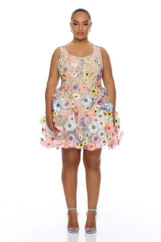 Wildflower Way Embroidered Mesh Mini Dress