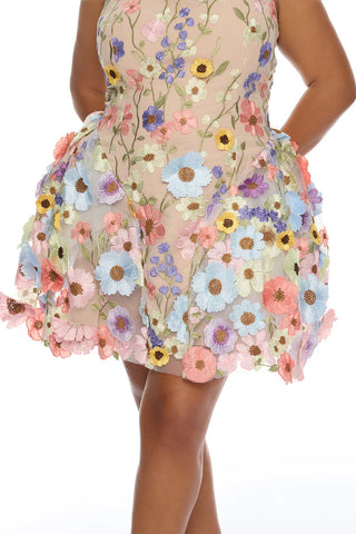 Wildflower Way Embroidered Mesh Mini Dress