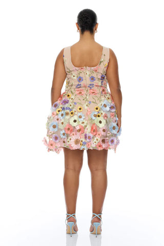 Wildflower Way Embroidered Mesh Mini Dress