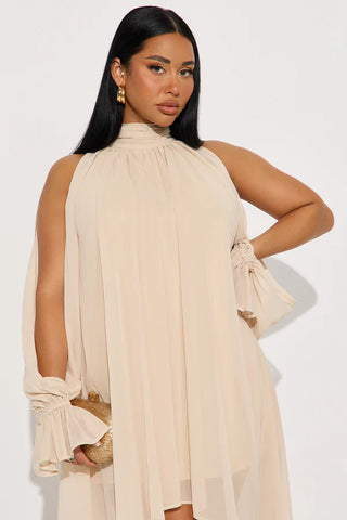 Aryal Long Sleeve Chiffon Maxi Dress