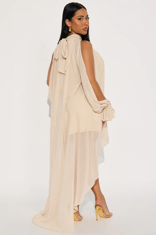 Aryal Long Sleeve Chiffon Maxi Dress