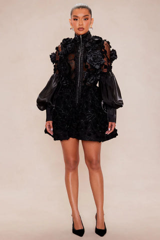 Raven Sheer Embroidered Mini Dress