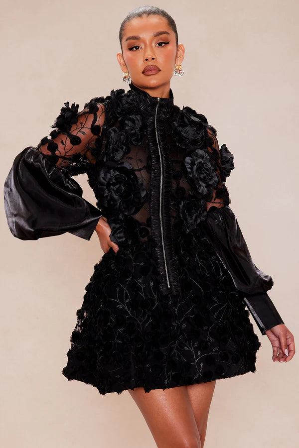 Raven Sheer Embroidered Mini Dress