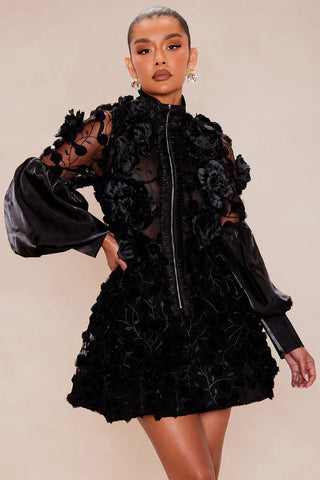 Raven Sheer Embroidered Mini Dress