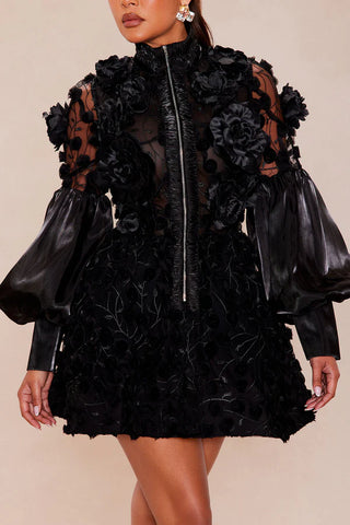 Raven Sheer Embroidered Mini Dress