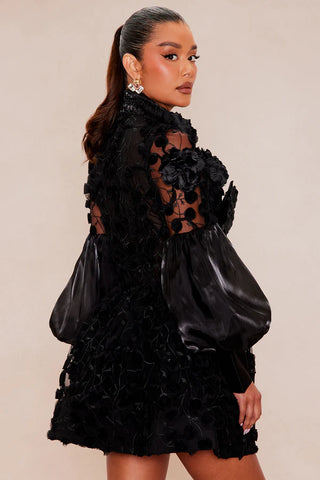 Raven Sheer Embroidered Mini Dress