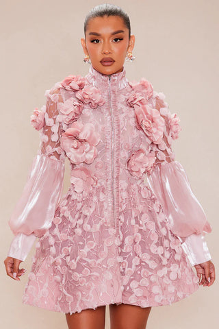 Raven Sheer Embroidered Mini Dress