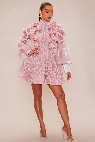 Raven Sheer Embroidered Mini Dress