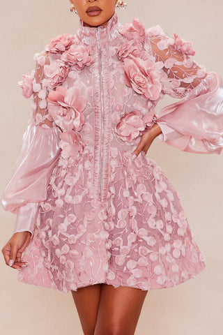 Raven Sheer Embroidered Mini Dress