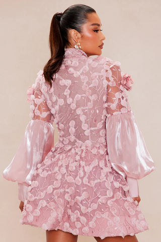 Raven Sheer Embroidered Mini Dress