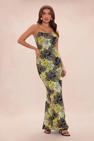 Kaylee Sequin Embroidered Maxi Dress