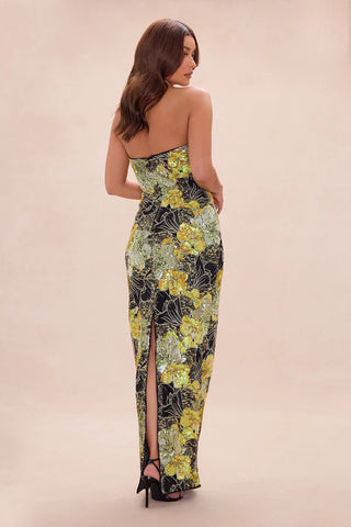 Kaylee Sequin Embroidered Maxi Dress