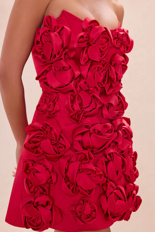 Blushing Rose Floral Applique Mini Dress