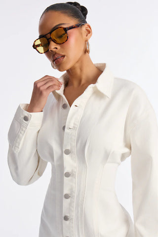 Alessandra Denim Mini Dress