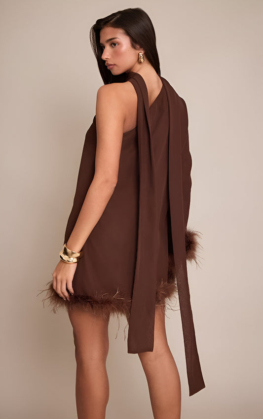 Chocolate Chiffon One Shoulder Feather Detail Shift Dress