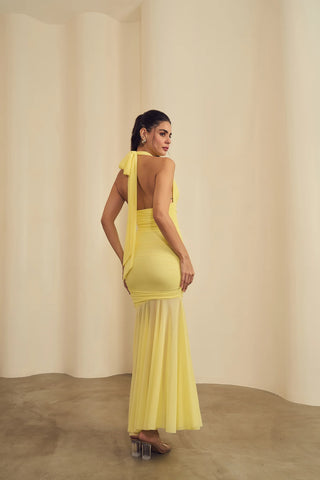 Amari Dress