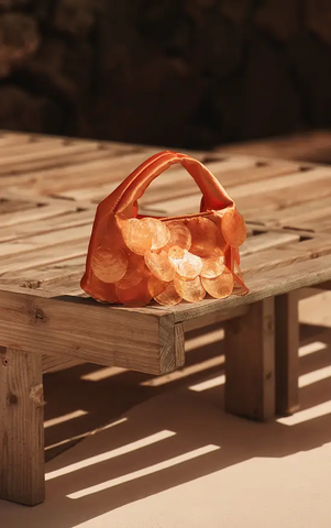 Orange Shell Trim Handbag