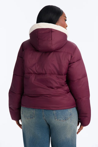 Cozied Up Jacket