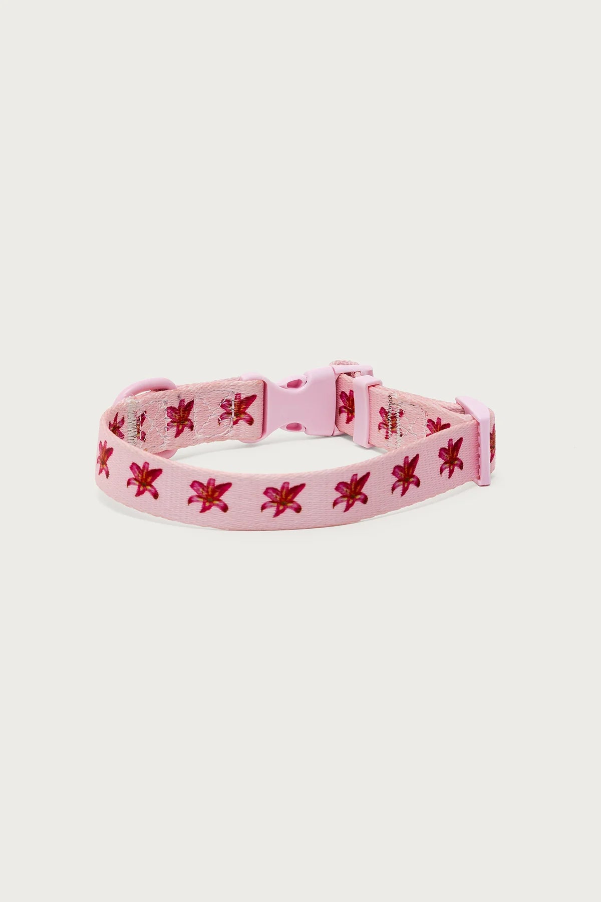 Daylily Pet Collar