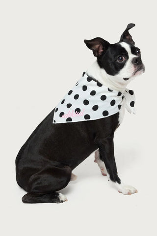 Polka Dot Pet Bandana