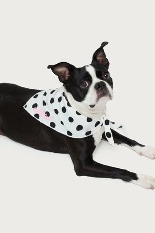 Polka Dot Pet Bandana
