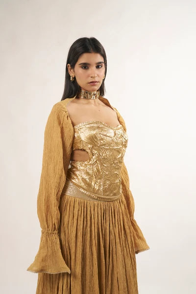 Sitara Sleeves