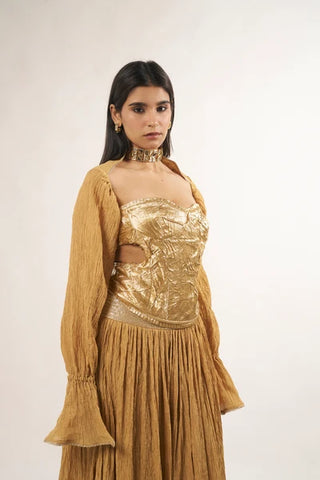 Sitara Sleeves