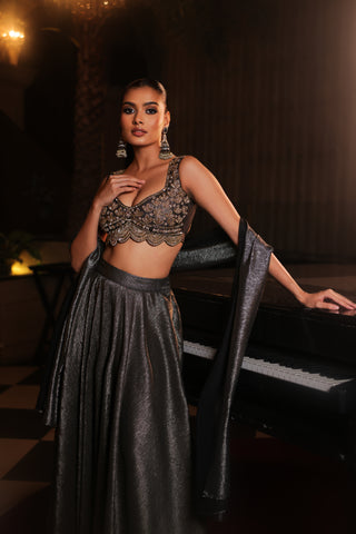 Mettalic Hand Embroidered Lehenga Set