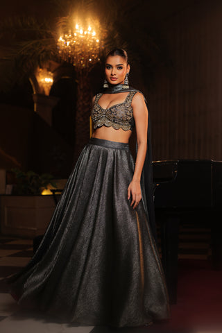 Mettalic Hand Embroidered Lehenga Set