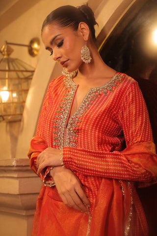 Orange Tissue Hand Embroidered Gharara Set