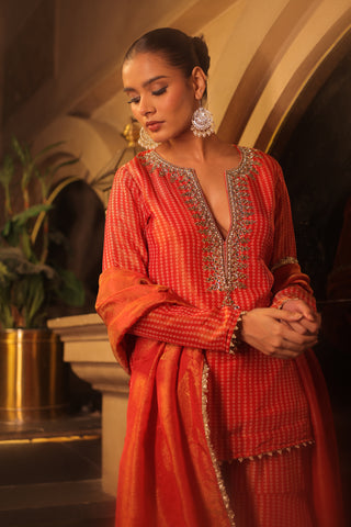 Orange Tissue Hand Embroidered Gharara Set