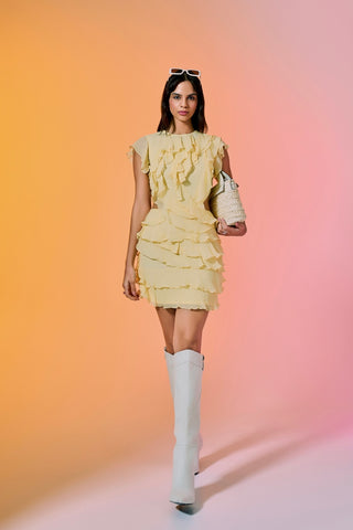 Yellow Buttercup Frill Mini Dress