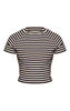 Petite Charcoal Stripe Soft Touch Fitted Baby T-Shirt